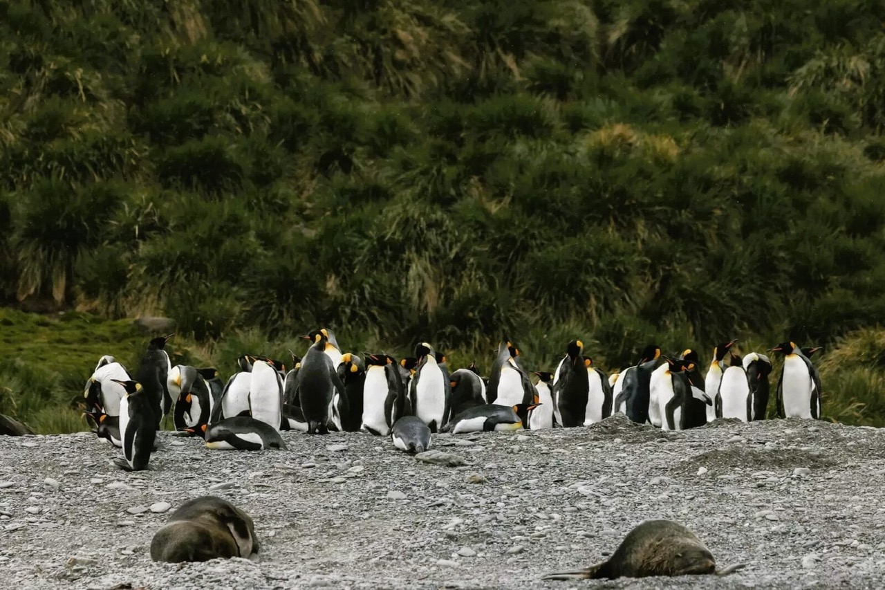 Cruise from Iceland to Svalbard